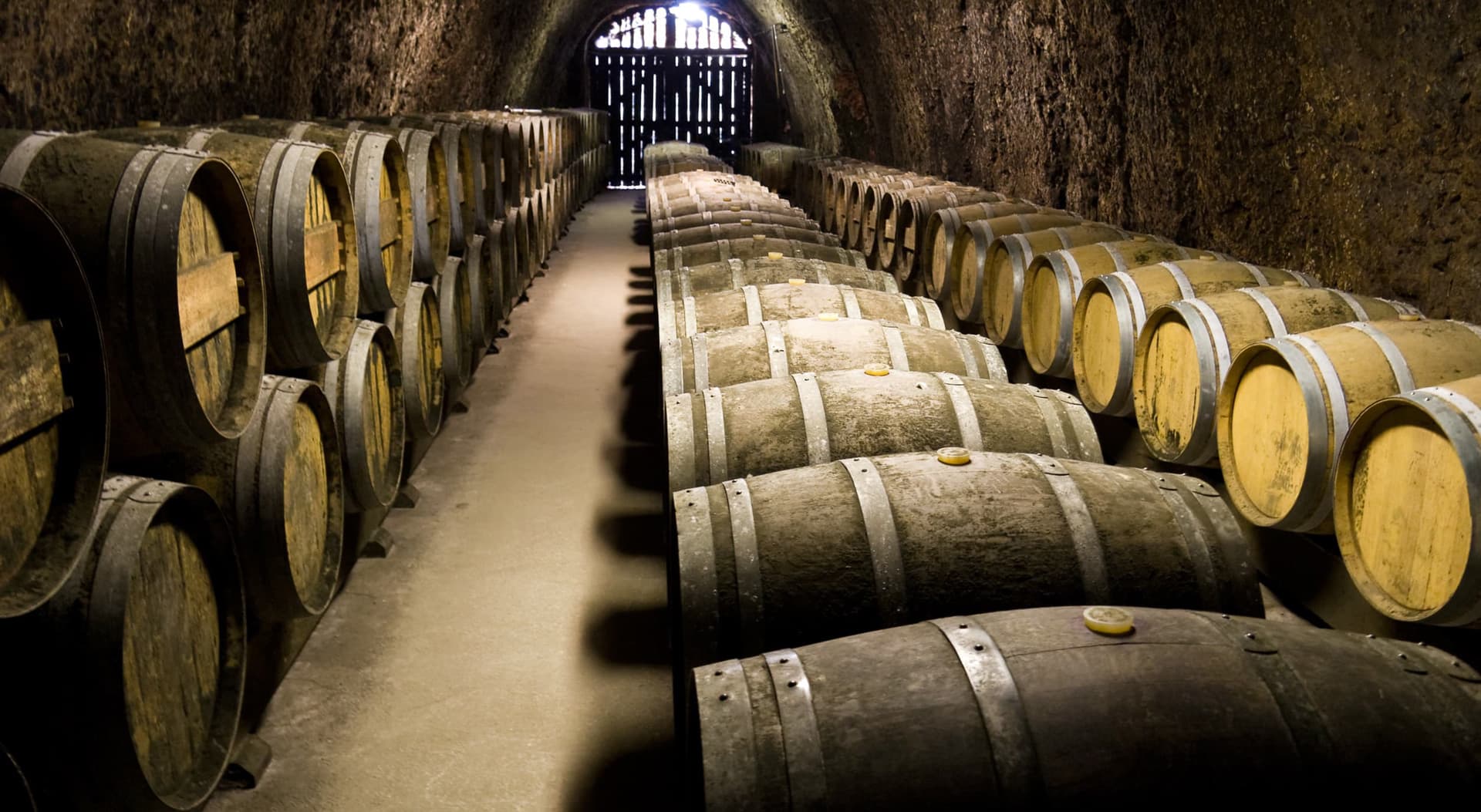 Amplia variedad de vinos en Vigo